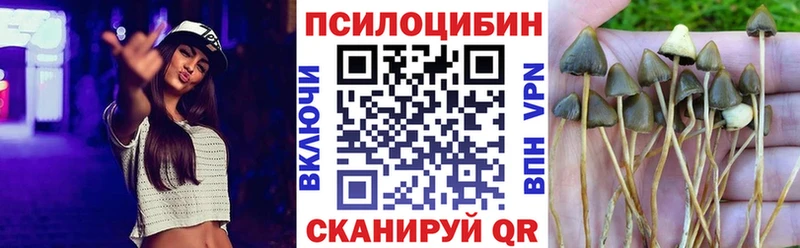 Галлюциногенные грибы MAGIC MUSHROOMS Купить Заводоуковск